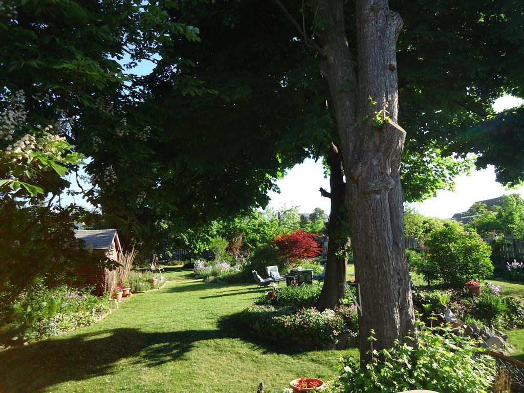 Bed & Breakfast Absolute Elegance 3*